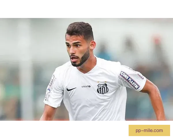 博塔弗戈历史性首夺南美解放者杯创造辉煌瞬间