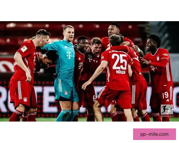 拜仁慕尼黑官方宣布重要决策引发热议球队未来布局逐步明朗